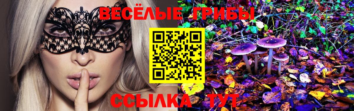 Галлюциногенные грибы прущие грибы Кохма